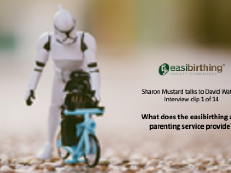 What does the easibirthing and parenting service provide