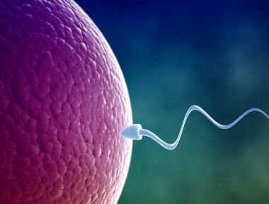 Conception after 30