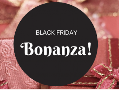Give the gift of learning in our Black Friday bonanza!