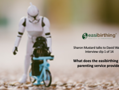 What does the easibirthing and parenting service provide to parents and parents-to-be